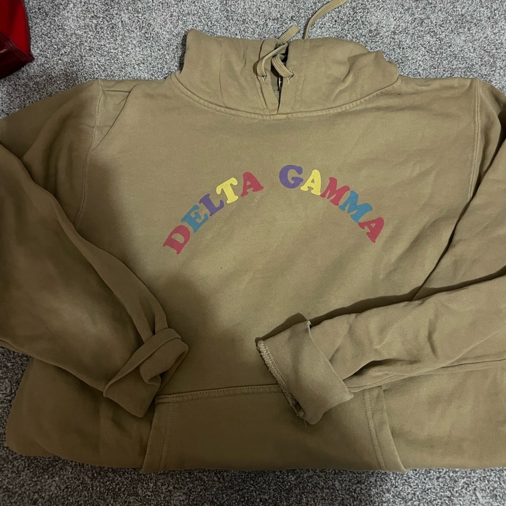 Delta Gamma hoodie